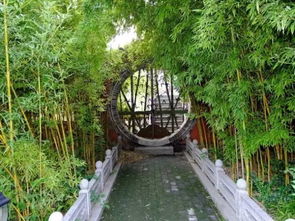 竹園 給你清涼一夏——旅游開發(fā)項(xiàng)目策劃咨詢報(bào)告