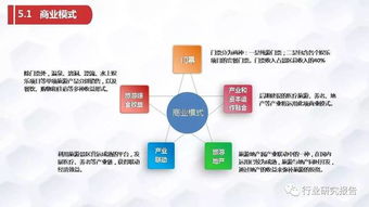 張家界龜仙谷旅游景區(qū)開發(fā)項(xiàng)目商業(yè)計(jì)劃書——?jiǎng)?chuàng)新生態(tài)旅游與可持續(xù)開發(fā)戰(zhàn)略
